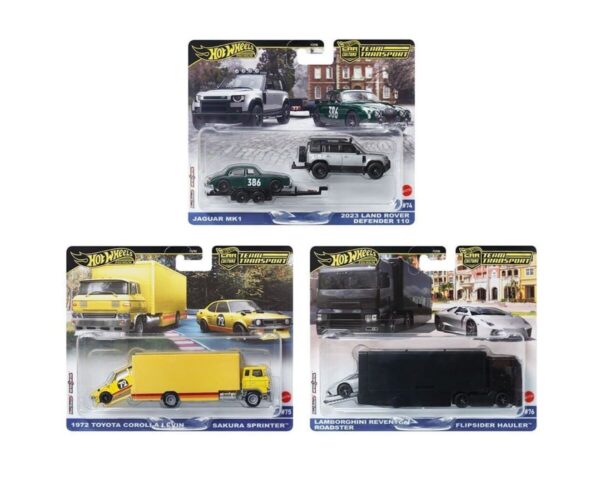 HW 1:64 Premium Team Transport 2024 E Case