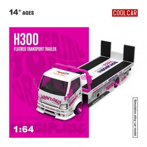 *PREORDEN* Cool Car 1:64 H300 Iron Dames